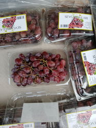 RAISIN SANS PEPINS